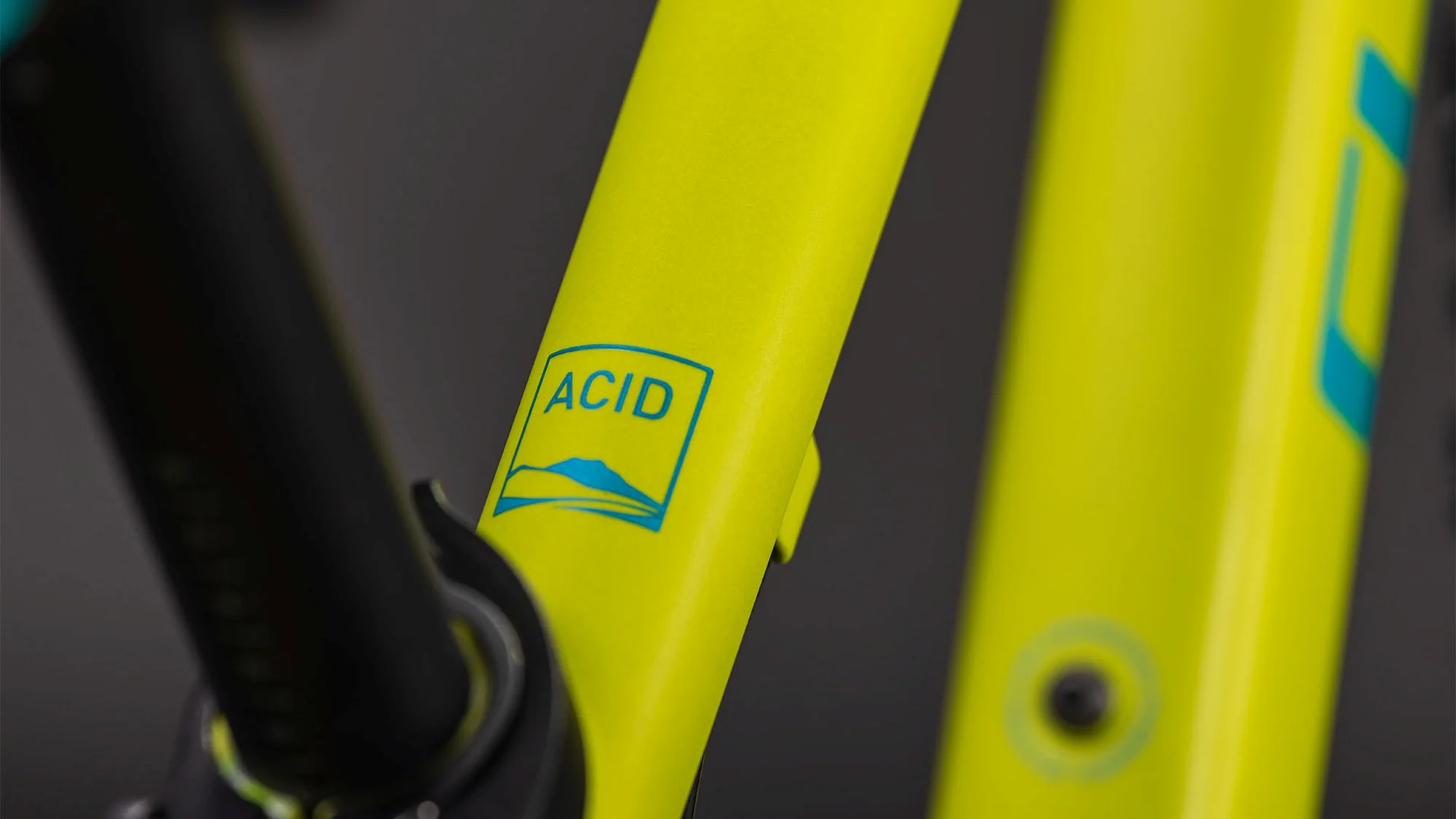 CUBE ACID 200 DISC LIZARD/BLUE - Image 3