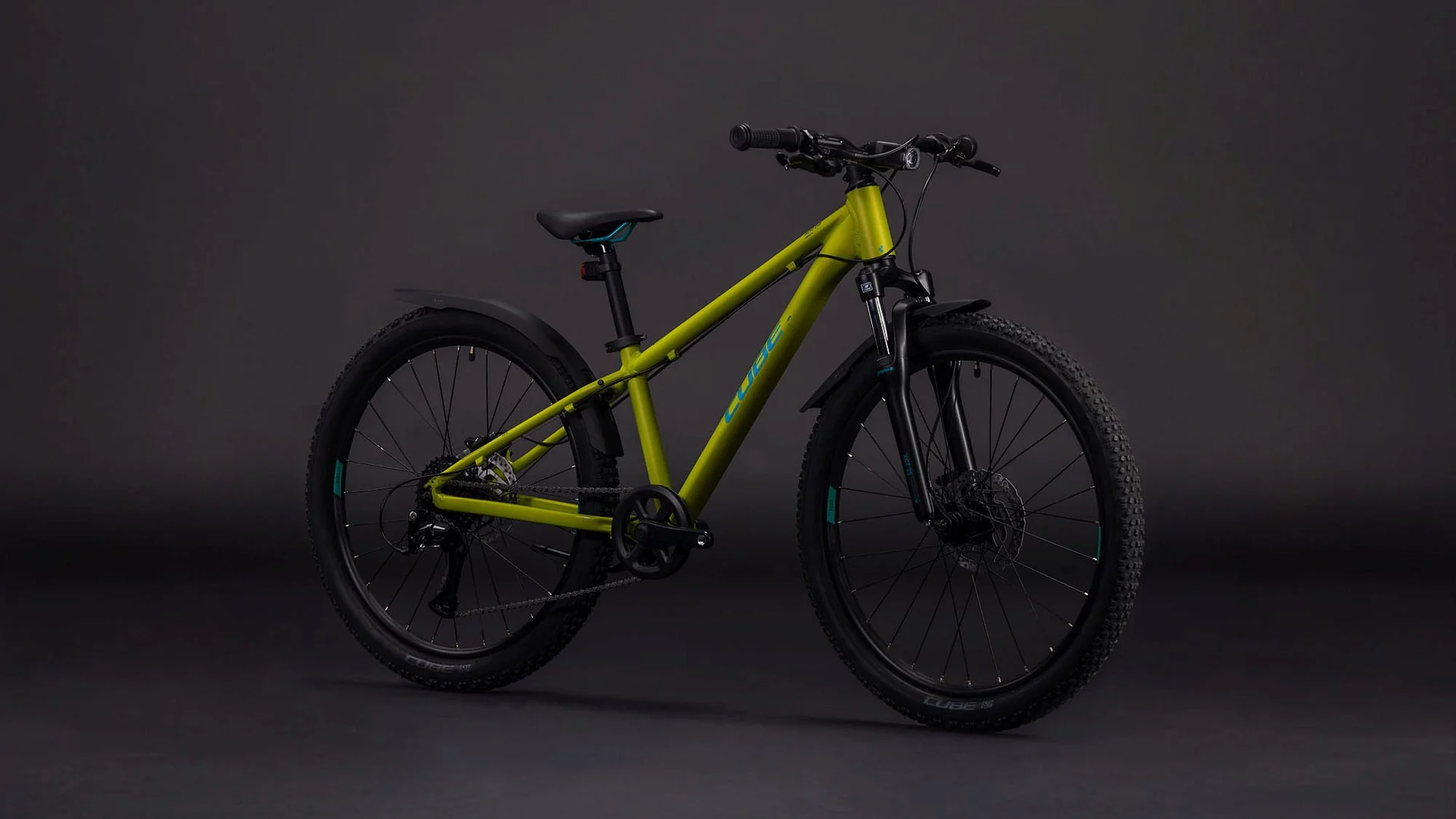 CUBE ACID 240 DISC FE LIZARD/BLUE - Image 7